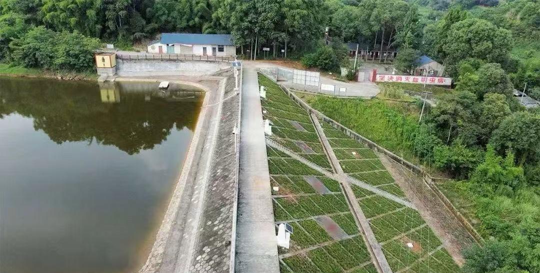 大坝安全监测方案