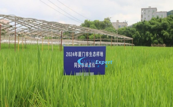 生态质量监测样地