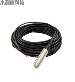 压力式水位计 压力式水位计